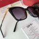 2018 Copy Cartier Panther Sunglasses - Anti-ultraviolet Sunglasses (11)_th.jpg